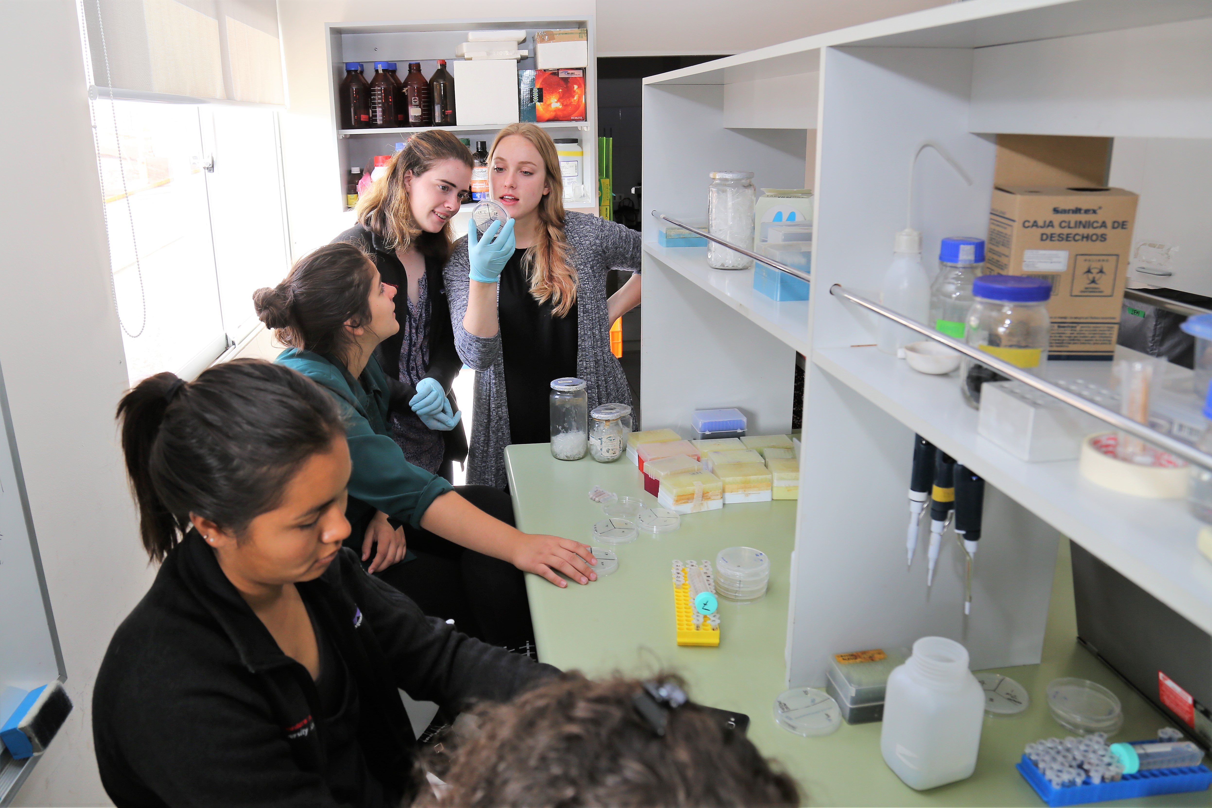Students discussing research on a Dialog of Civilizations