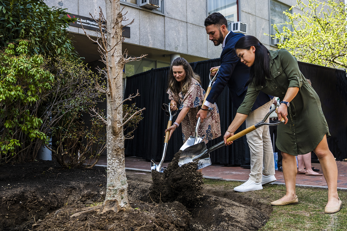 three people shovel dirt onto the ground around a tree