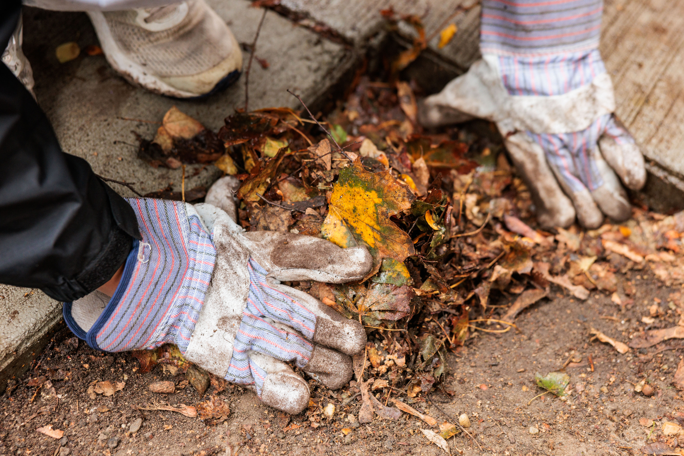 Student scooping up a pile of mulch with gloved hands.