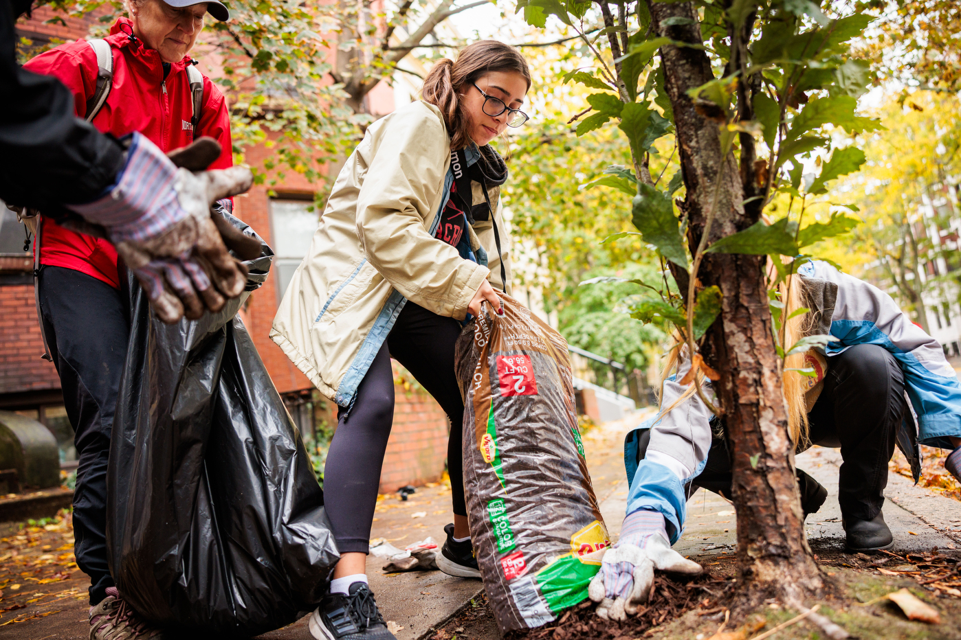 Students adding mulch around the base of trees.