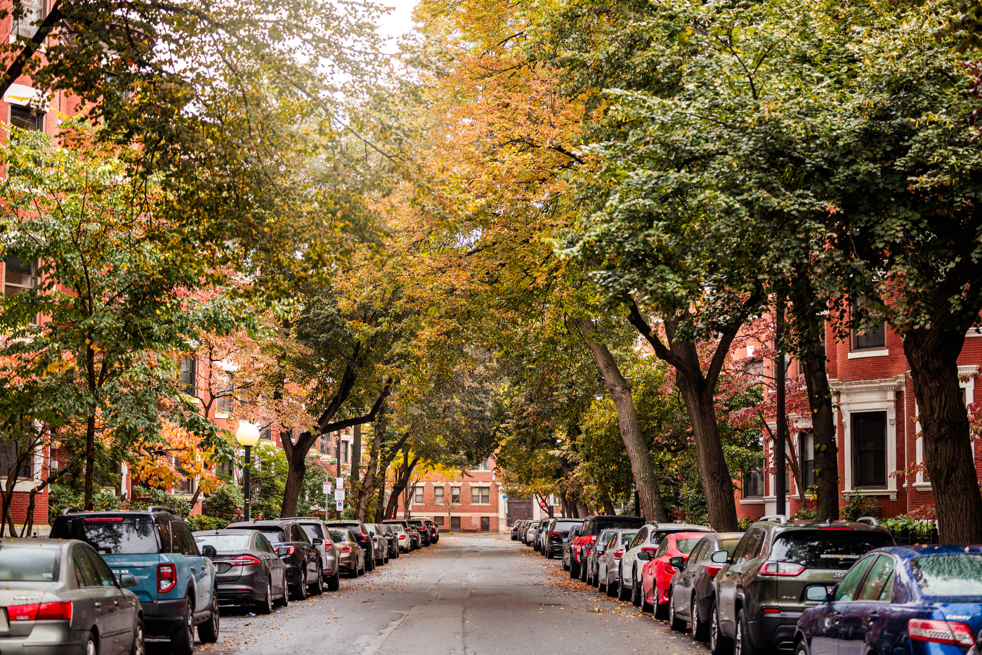 Tree lined street with yellow fall foliage.