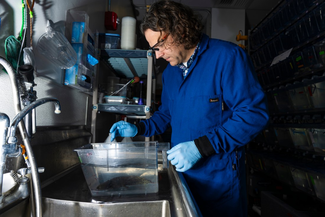 James Monaghan working in a lab.