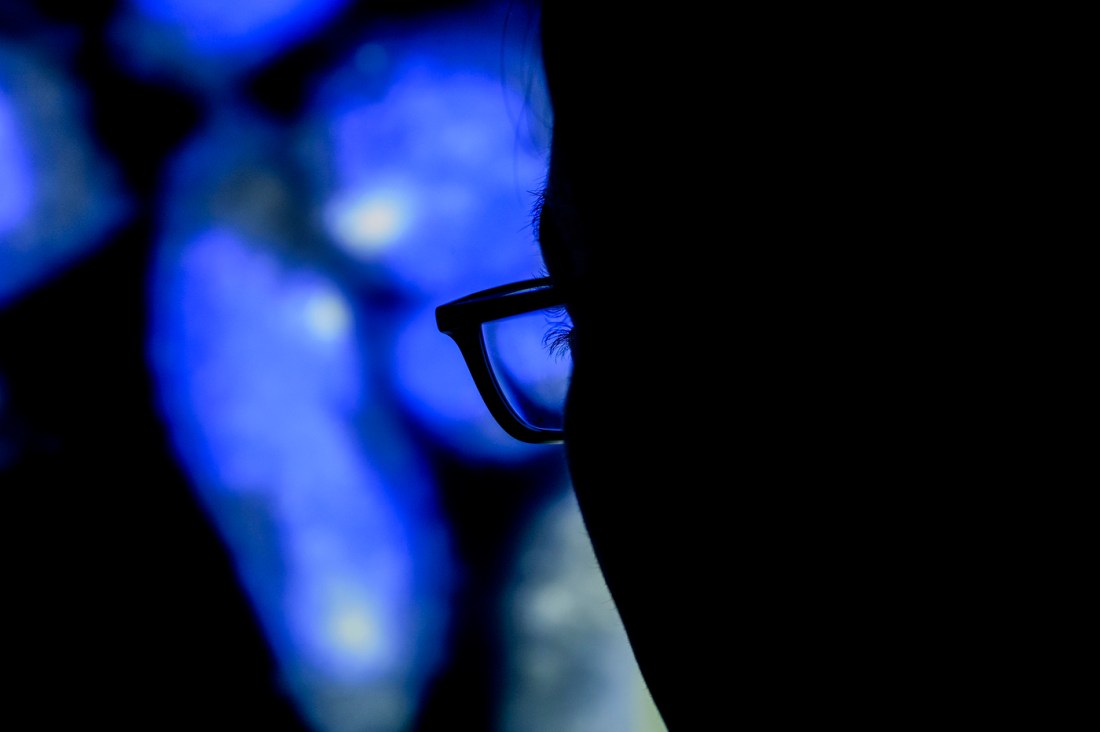 Sara Rouhanifard's silhouette in the lab.