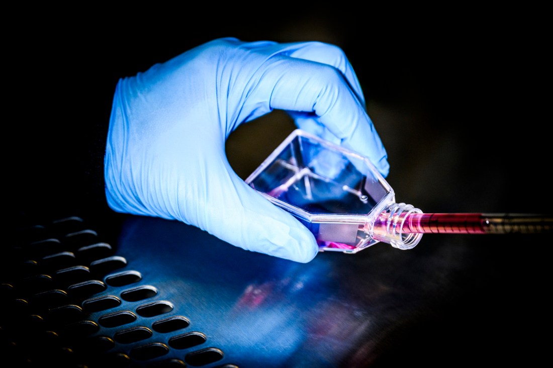 A gloved hand filling a syringe with a pink liquid from a glass jar.