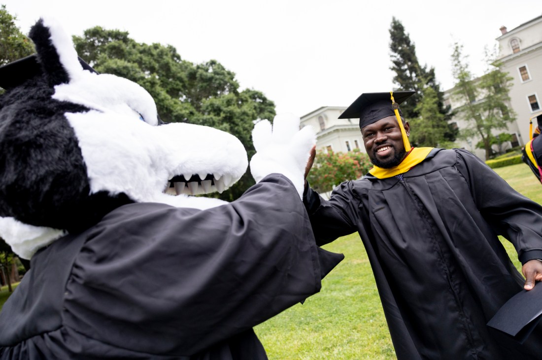 A graduate giving a high five to Paws, the Husky mascot, at the Oakland commencement ceremony.