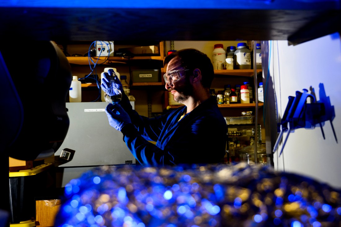 A researcher in the lab holding up a specimen.