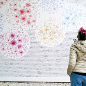 A person with pink hair and a light puffer jacket stands in front of a large wall covered in multicolored network diagrams composed of nodes and connecting lines, accompanied by dense blocks of text. The visualizations resemble data clusters in red, purple, yellow, and blue.