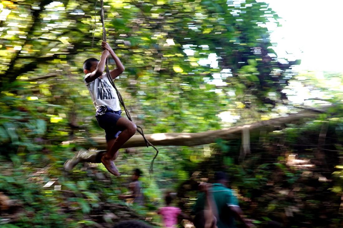 A child swinging on a vine in a lush forest in Fiji.