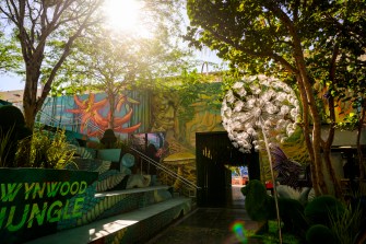 A daytime photograph showing the entrance to Wynwood Jungle, featuring colorful street art murals on walls and structures