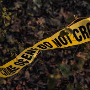A section of yellow crime scene tape reading “CRIME SCENE DO NOT CROSS” stretches across a wooded area with leaves and branches in the background.