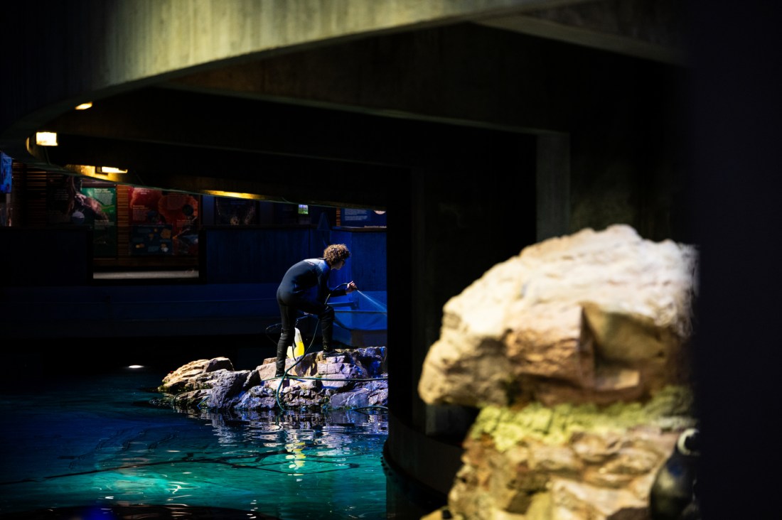 Noah Brown stands on a rock inside of the aquarium hosing it off.
