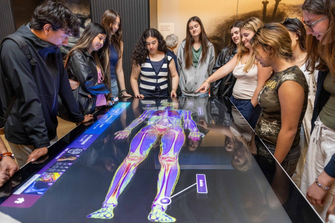 Northeastern students from the Dialogues of Civilization healthcare program look at a digital display of a human body at the Science Museum in London.