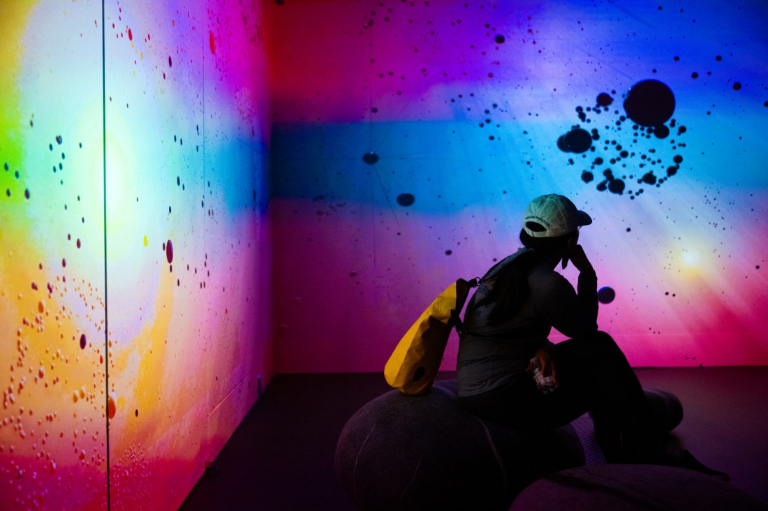 An immersive art installation visualizes the spread of COVID misinformation through vibrant color and network-inspired projections.