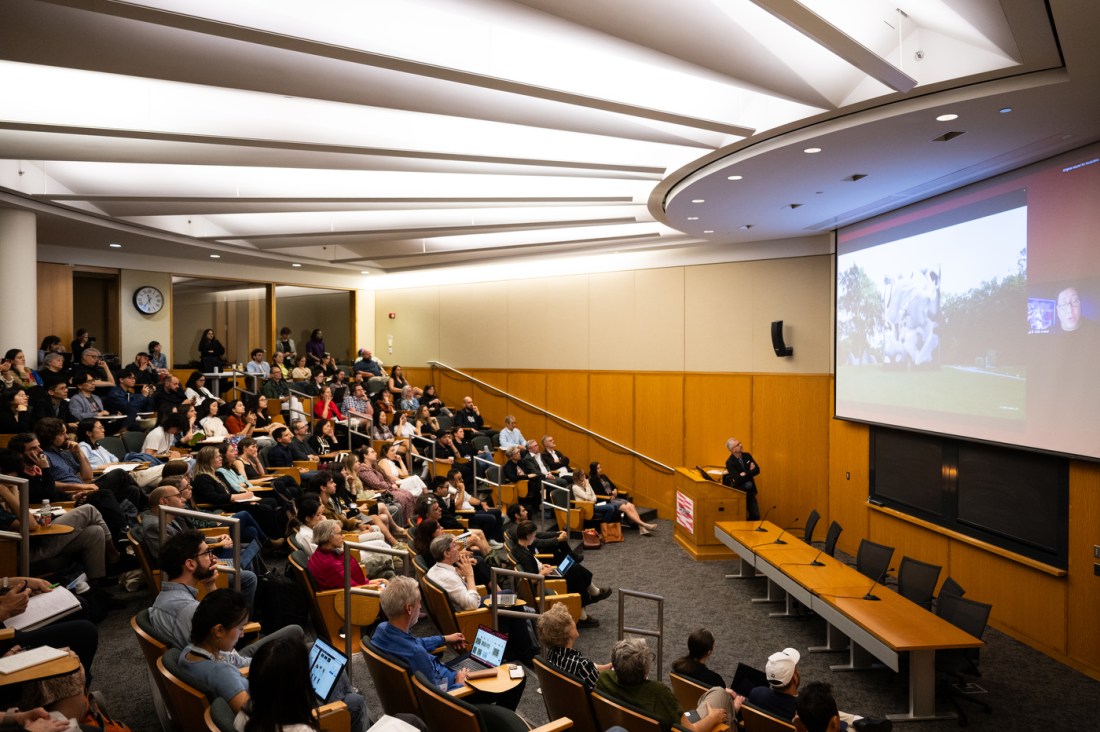 A wide view of a lecture hall filled with attendees during a multimedia presentation.