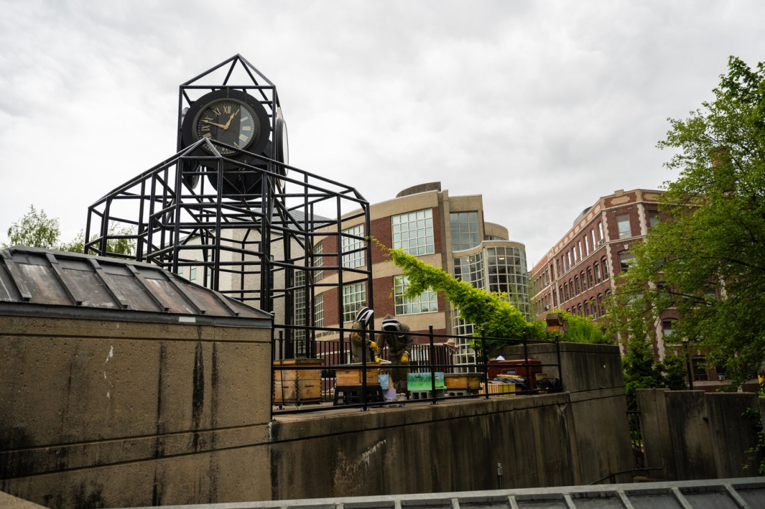 Urban beekeeping hives set up below a clock tower on Northeastern’s Boston campus.