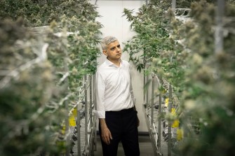 Sadiq Khan walking through rows of cannabis plants.
