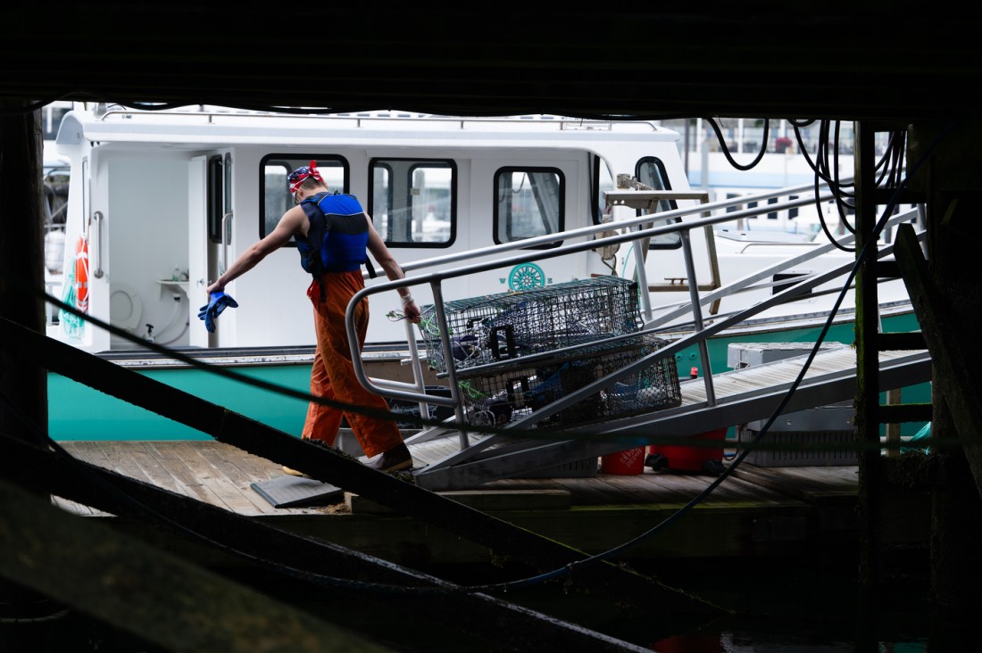 A person dragging a crate of lobster off of a boat.