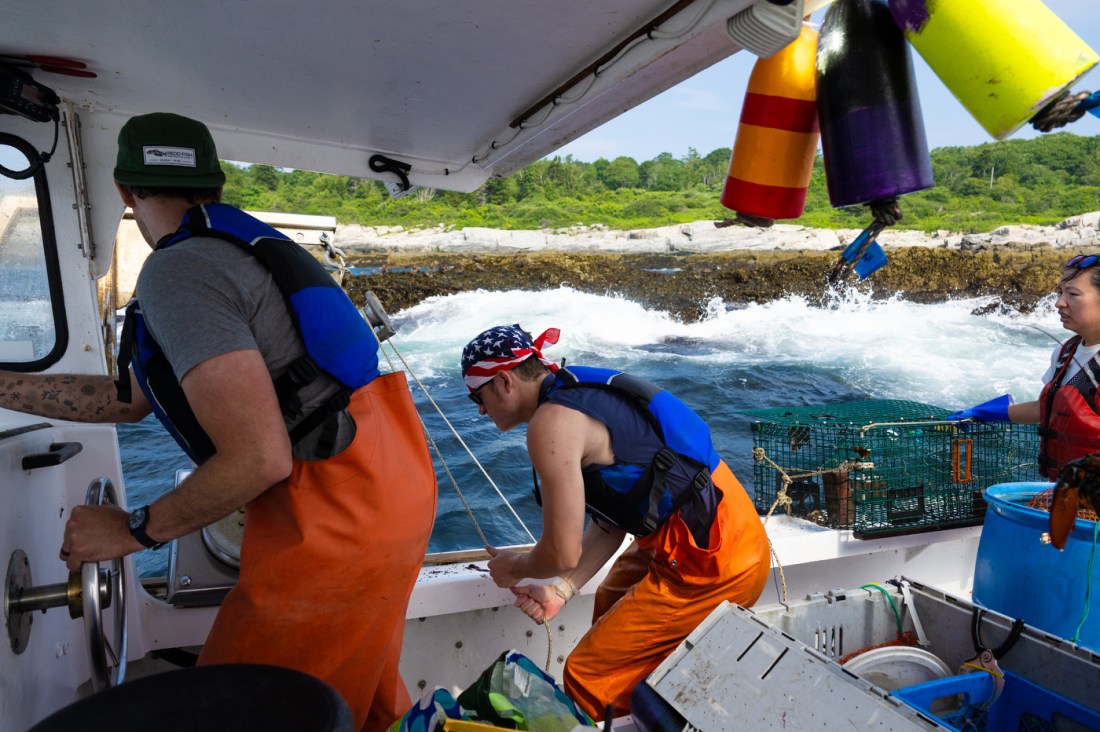 Several people on a fast moving boat working with lobsters.