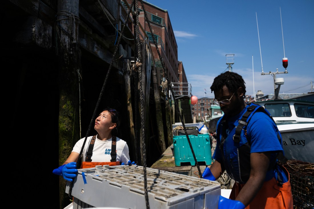 Two people helping load a crate of lobsters.
