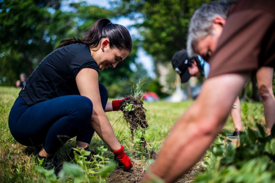 People crouched down working in the garden