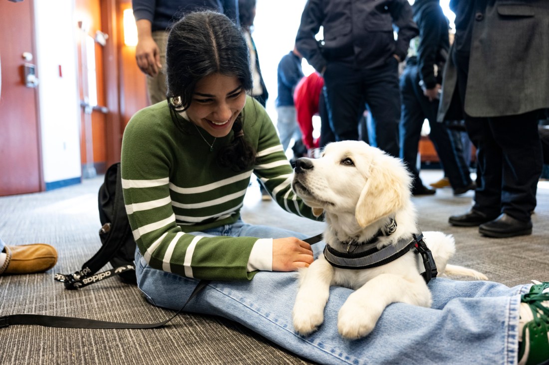 Someone sitting on the ground with Ryder as a puppy on their legs