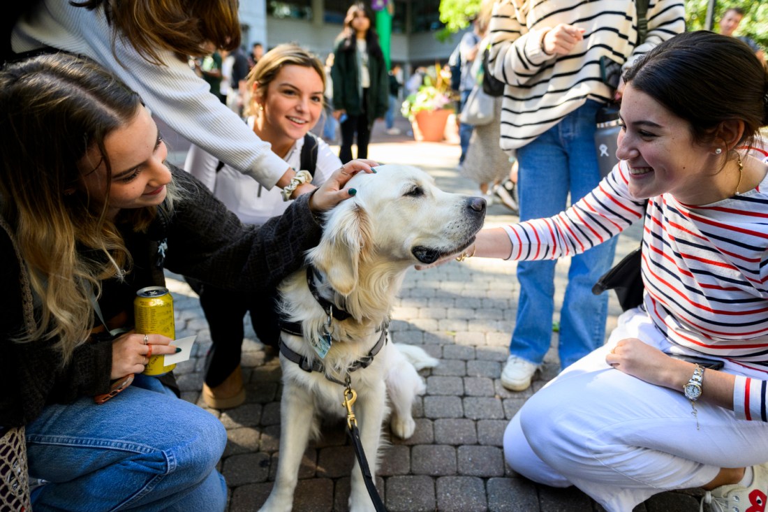 Many people petting Cooper
