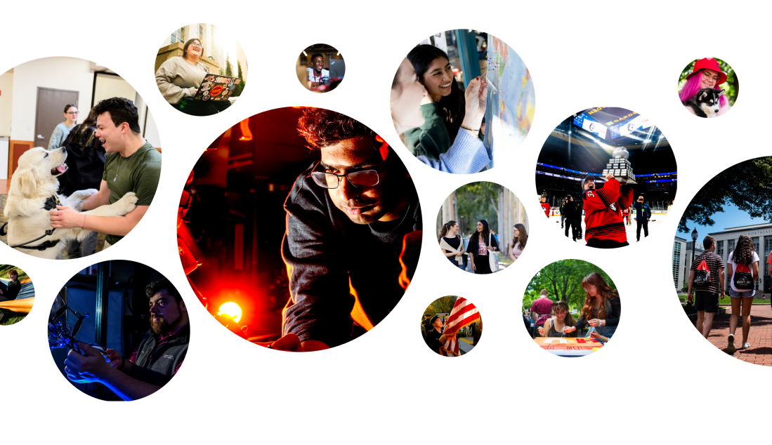 A large collage in circles, showing someone working on a machine, someone holding a husky pup, people walking on campus, someone working on their laptop and more