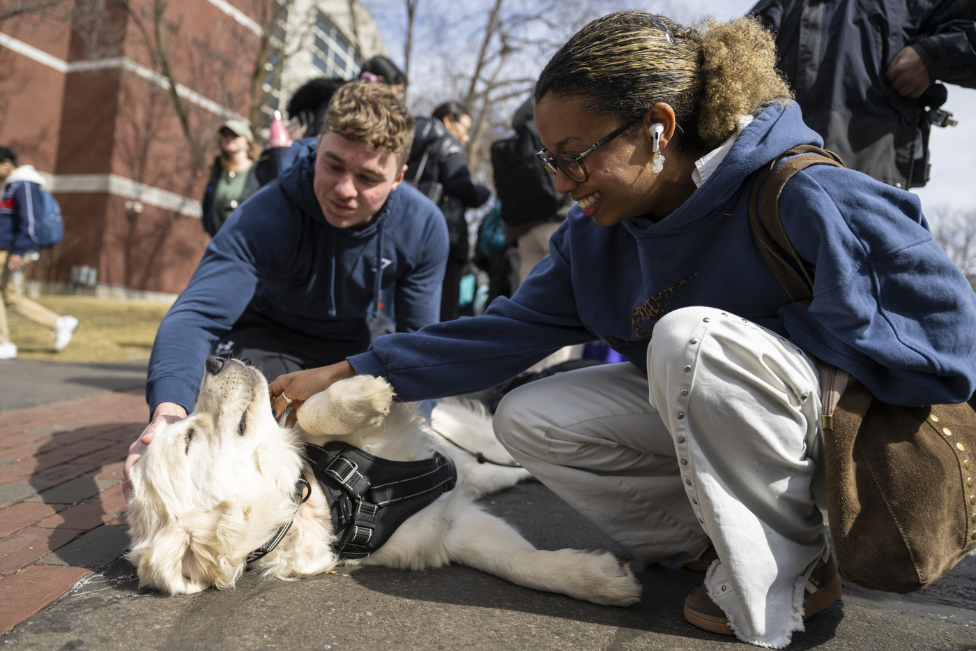 Ryder on the ground being pet by many people