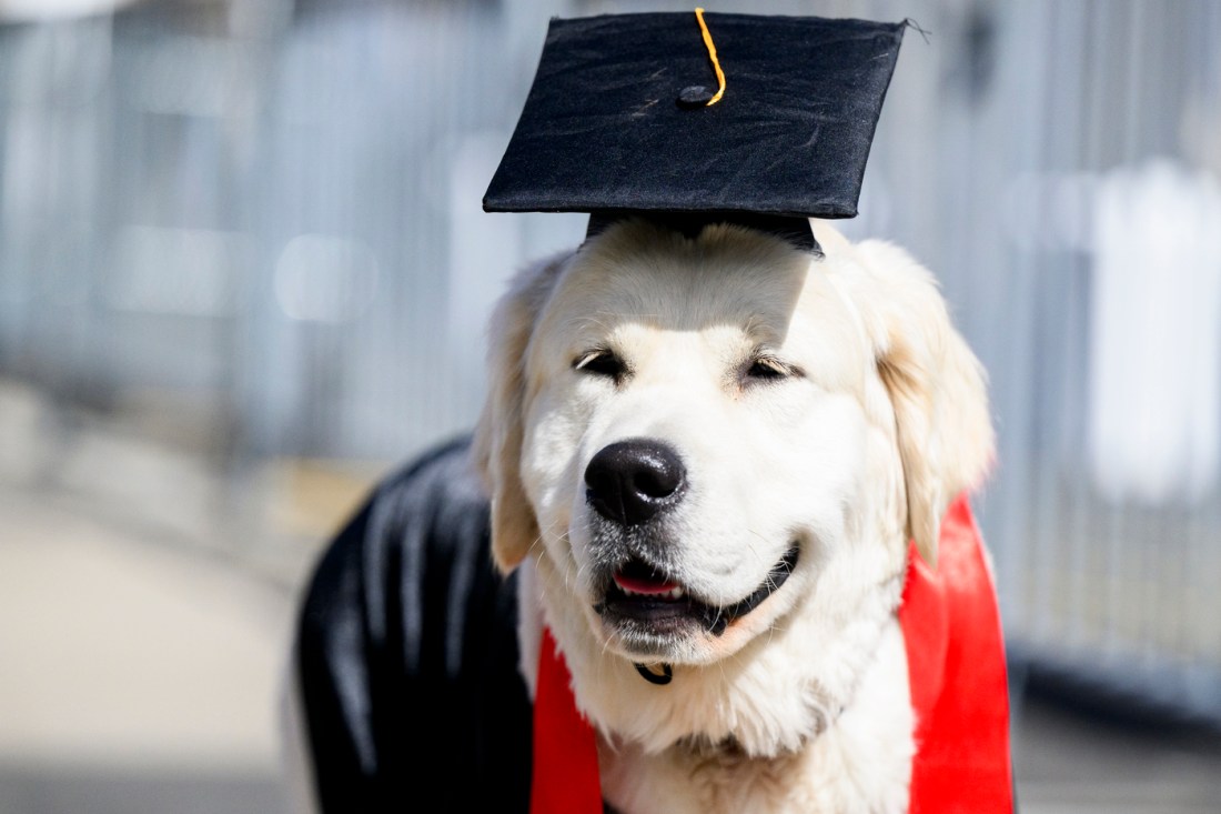 Ryder as an adolescent wearing a cap and gown for graduation