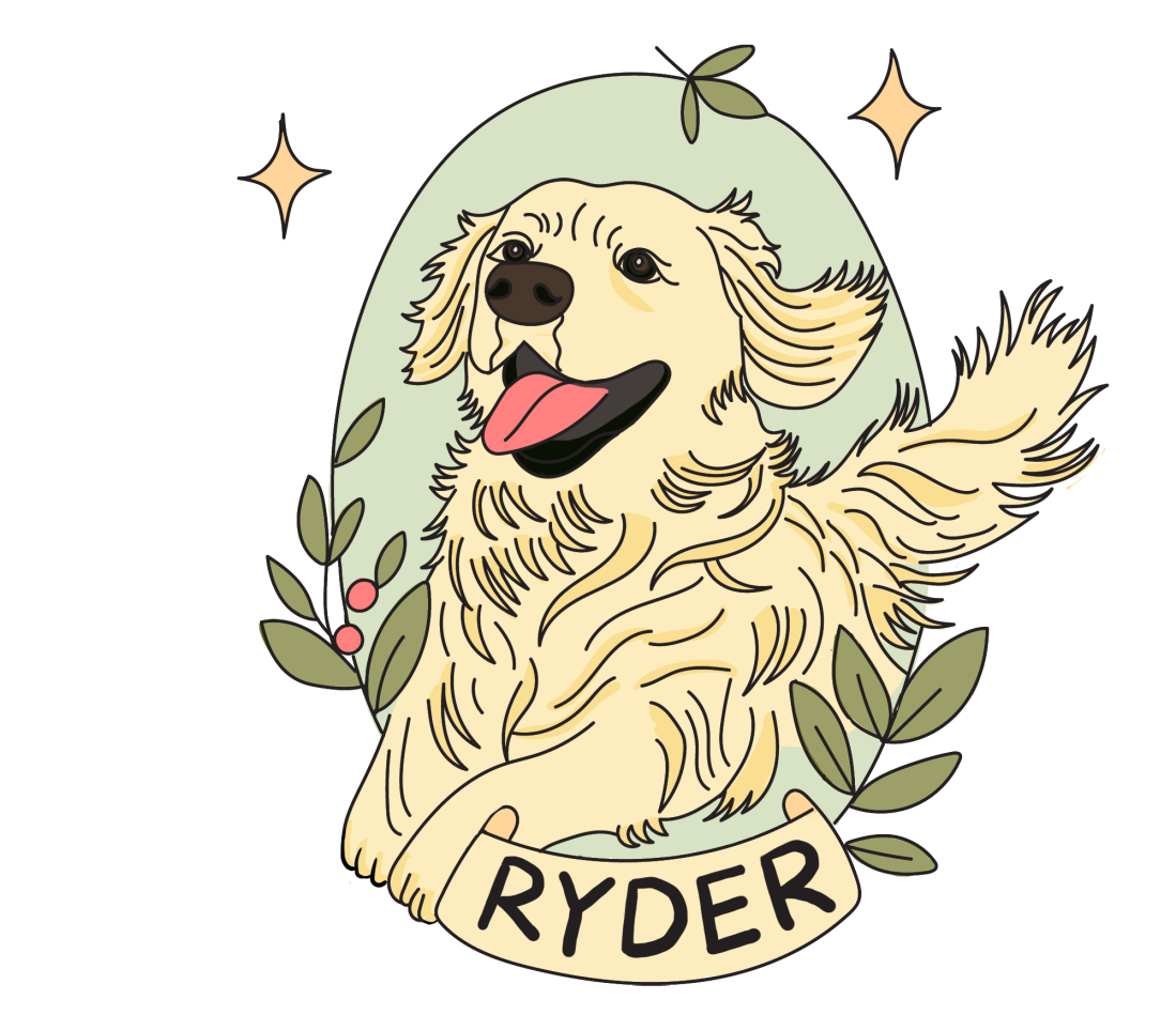 A cute illustration of the golden retriever Ryder jumping happily with leaves and sparkles