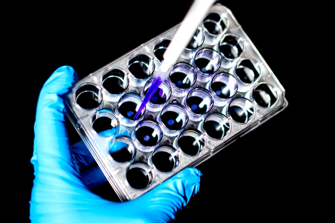 A researcher handling a scientific instrument in blue gloves.