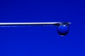 A sharp object set against a navy blue background.