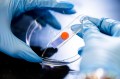 A close-up of a scientist with blue gloves on holding a sensor.