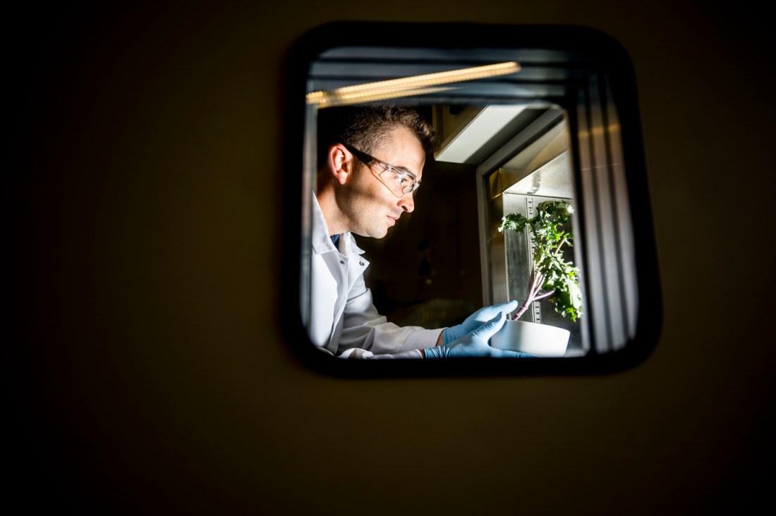 Dan Wilson holding a potted plant under lights in a lab.