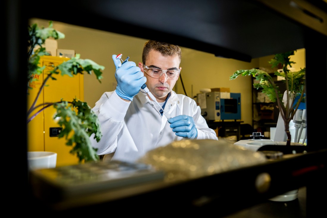 Dan Wilson taking a sample in a lab.