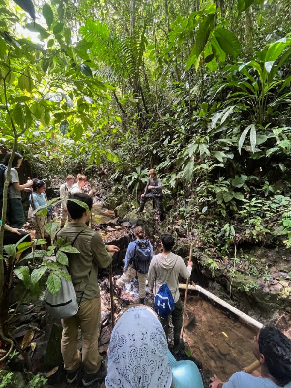 A group of students walking and standing in a tropical rainforest. 