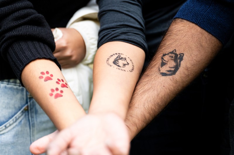 Three people compare temporary airbrush tattoos on their arms at Northeastern’s Friends and Family Weekend Fall Festival.